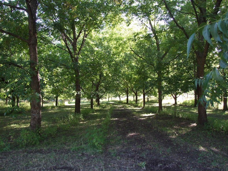 1820 Baerami Creek Rd, Baerami Creek NSW 2333