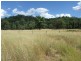 2250 Bylong Valley Way, Baerami NSW 2333