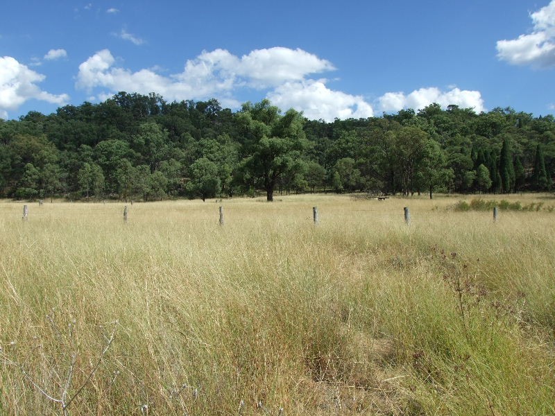 2250 Bylong Valley Way, Baerami NSW 2333