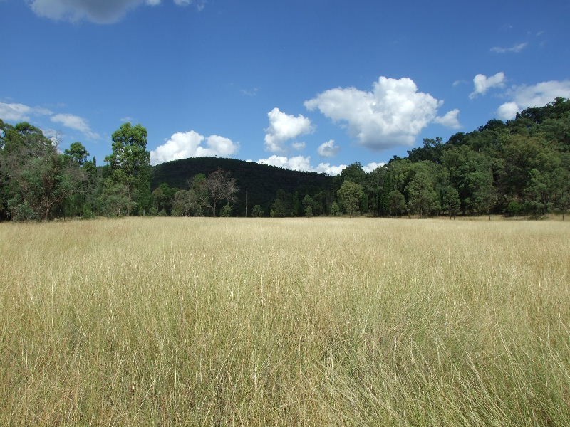 2250 Bylong Valley Way, Baerami NSW 2333