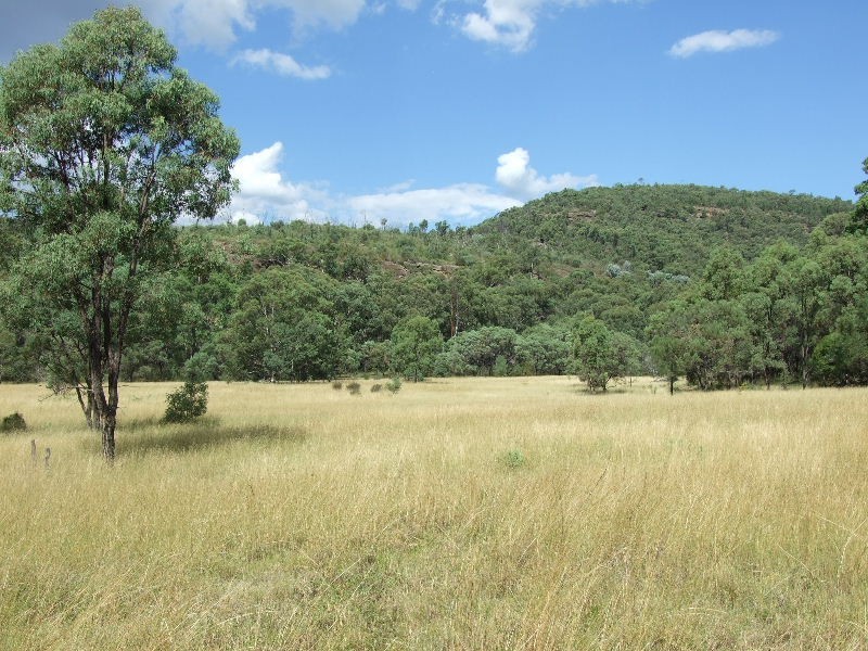 2250 Bylong Valley Way, Baerami NSW 2333