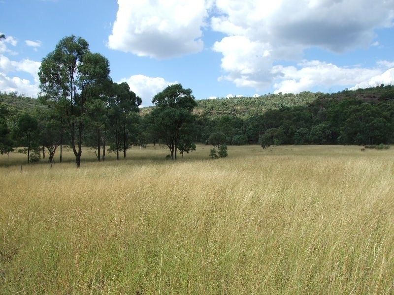 2250 Bylong Valley Way, Baerami NSW 2333
