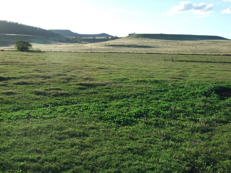 716 Martindale Road, Denman NSW 2328