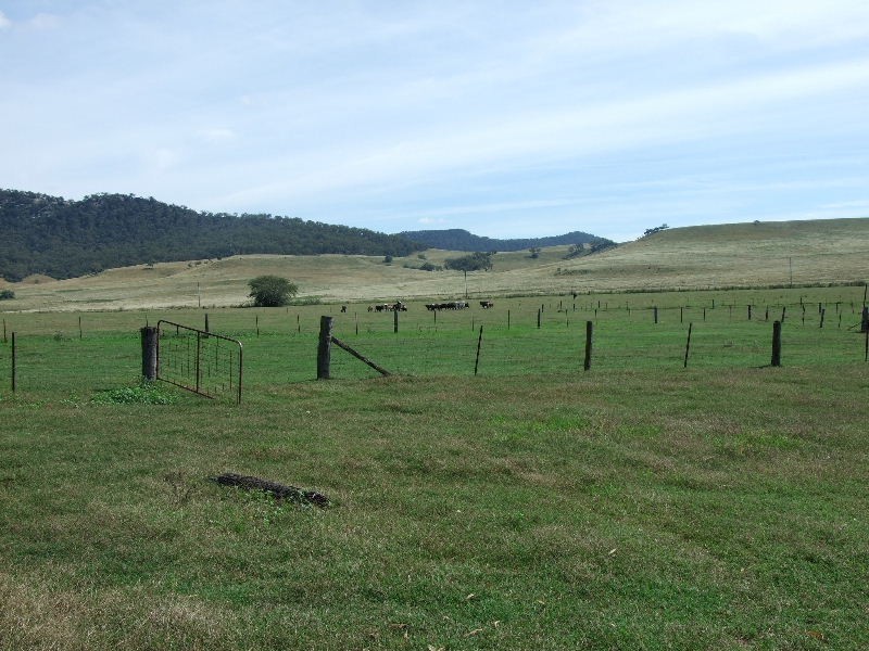 716 Martindale Road, Denman NSW 2328