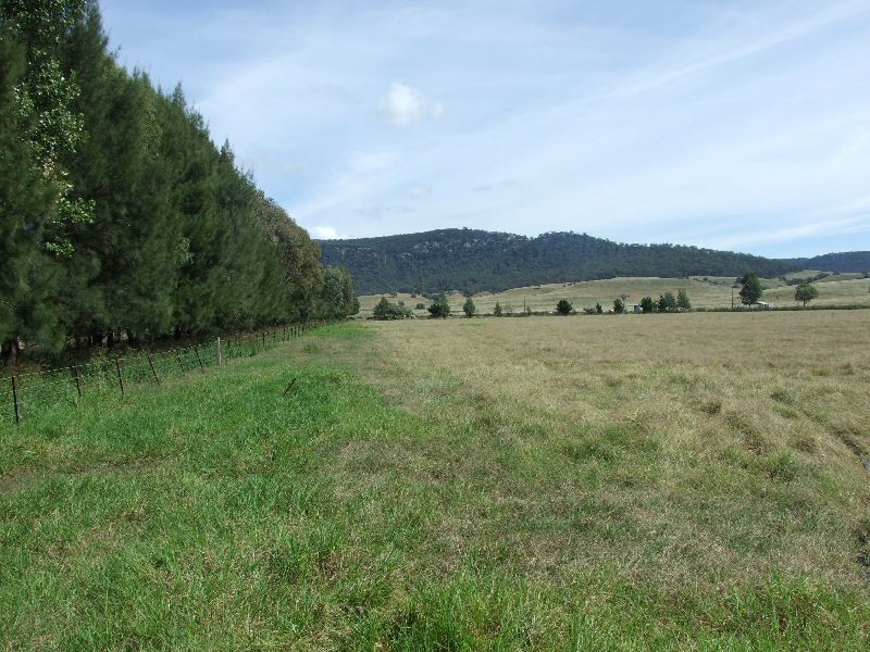 716 Martindale Road, Denman NSW 2328