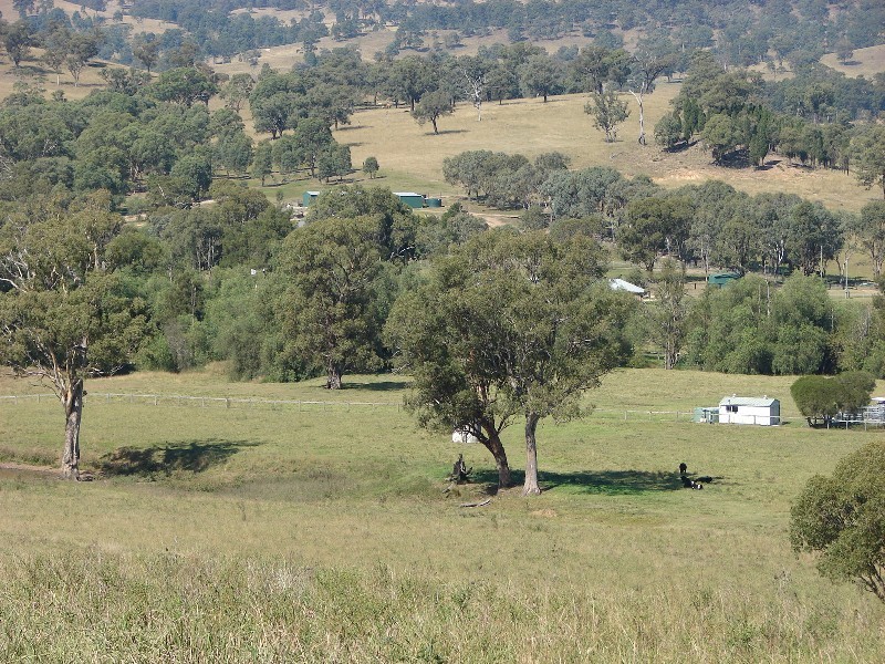 763 Muscle Creek Road, Muswellbrook NSW 2333