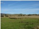 763 Muscle Creek Road, Muswellbrook NSW 2333