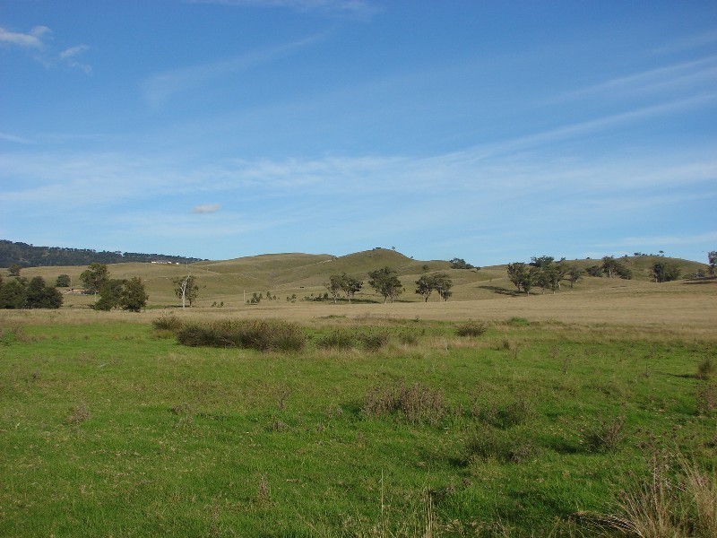 763 Muscle Creek Road, Muswellbrook NSW 2333