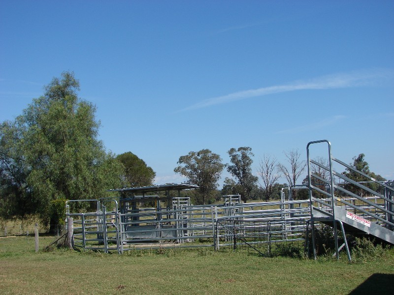 763 Muscle Creek Road, Muswellbrook NSW 2333