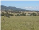 763 Muscle Creek Road, Muswellbrook NSW 2333