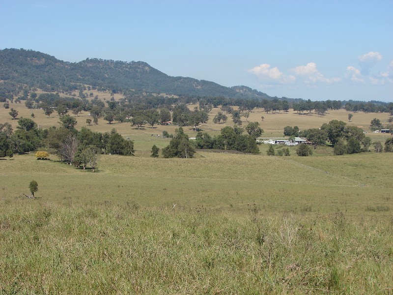 763 Muscle Creek Road, Muswellbrook NSW 2333