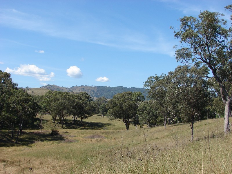 763 Muscle Creek Road, Muswellbrook NSW 2333