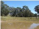 763 Muscle Creek Road, Muswellbrook NSW 2333