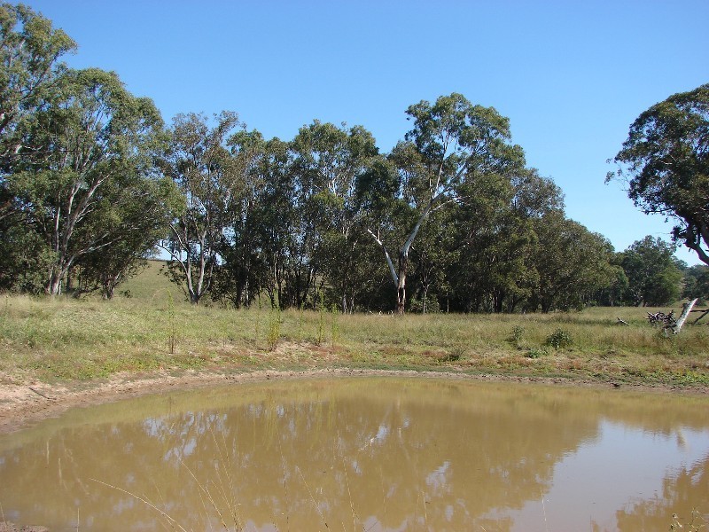 763 Muscle Creek Road, Muswellbrook NSW 2333