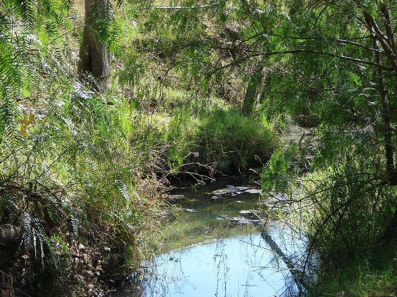 763 Muscle Creek Road, Muswellbrook NSW 2333