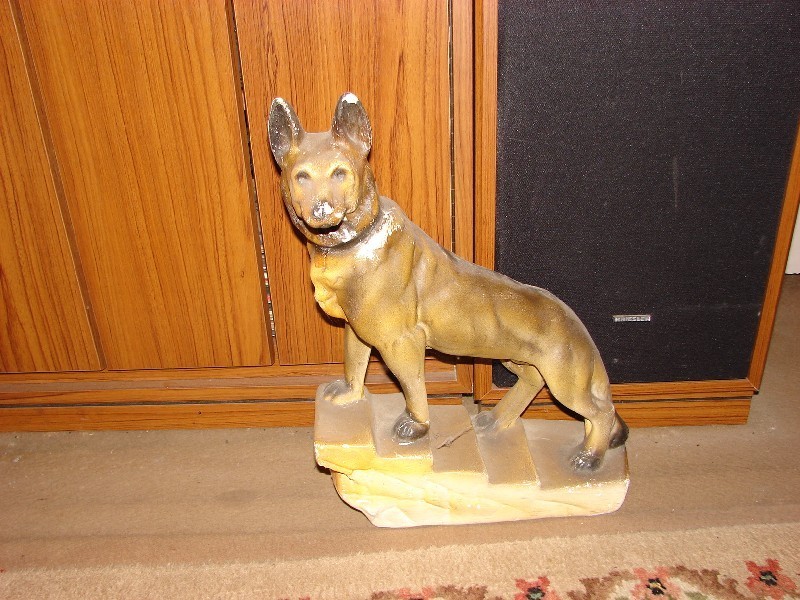 6 Scott Street, Muswellbrook NSW 2333