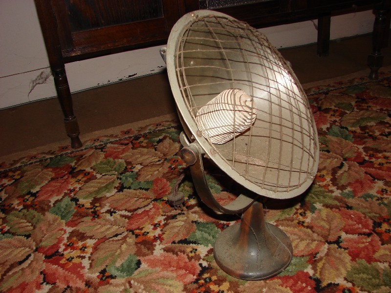 6 Scott Street, Muswellbrook NSW 2333