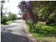 6 Humphries Street, Muswellbrook NSW 2333