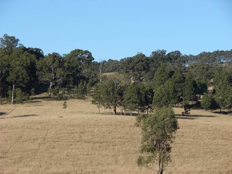 129 Beggary Creek Road, Muswellbrook NSW 2333