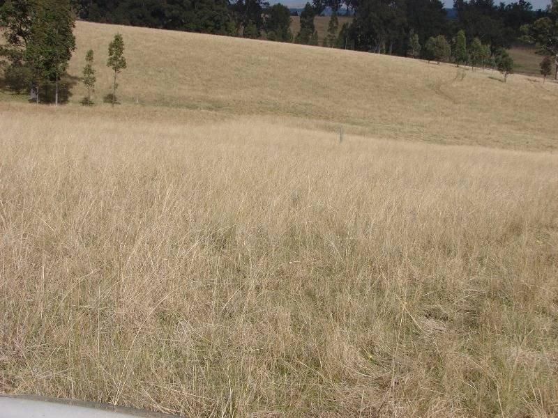 129 Beggary Creek Road, Muswellbrook NSW 2333