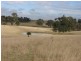 129 Beggary Creek Road, Muswellbrook NSW 2333