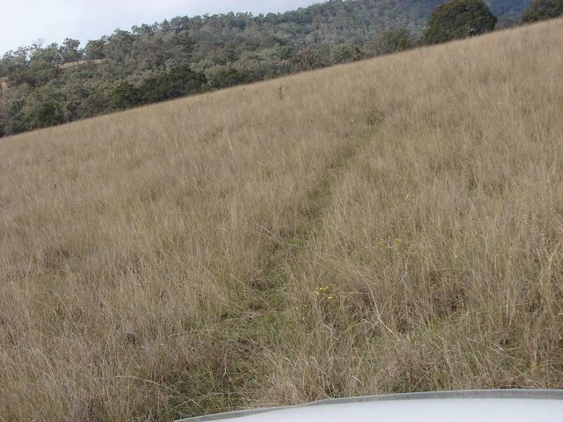 129 Beggary Creek Road, Muswellbrook NSW 2333