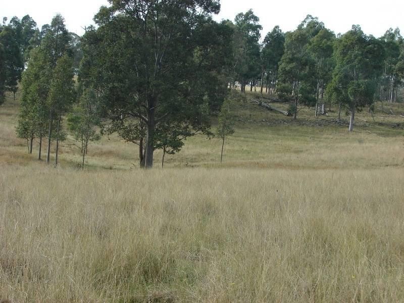 129 Beggary Creek Road, Muswellbrook NSW 2333