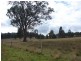 129 Beggary Creek Road, Muswellbrook NSW 2333