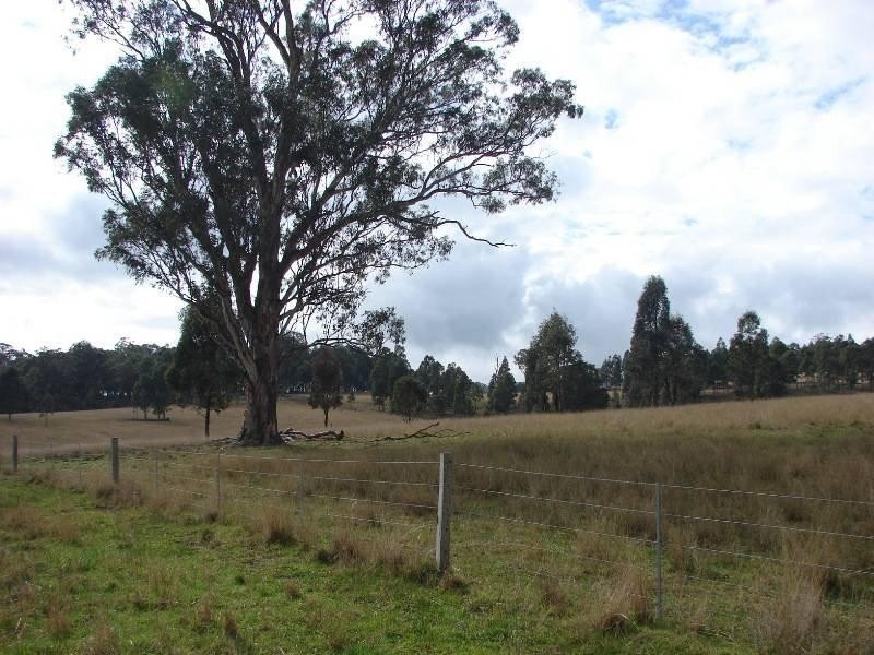 129 Beggary Creek Road, Muswellbrook NSW 2333