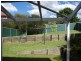 53A Woollybutt Way, Muswellbrook NSW 2333