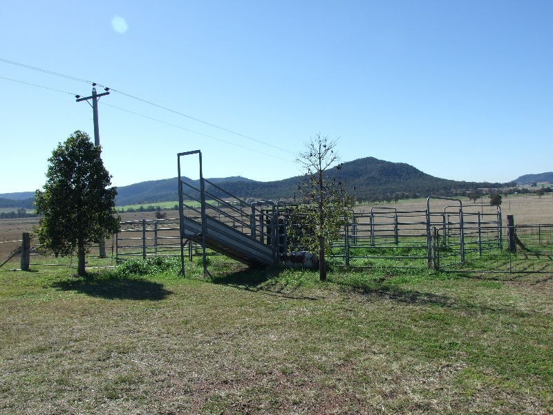 398 Mt Dangar Road, Baerami NSW 2333