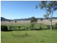 398 Mt Dangar Road, Baerami NSW 2333
