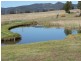 398 Mt Dangar Road, Baerami NSW 2333