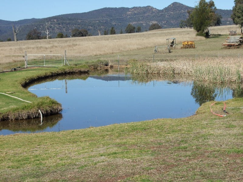 398 Mt Dangar Road, Baerami NSW 2333
