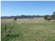 398 Mt Dangar Road, Baerami NSW 2333