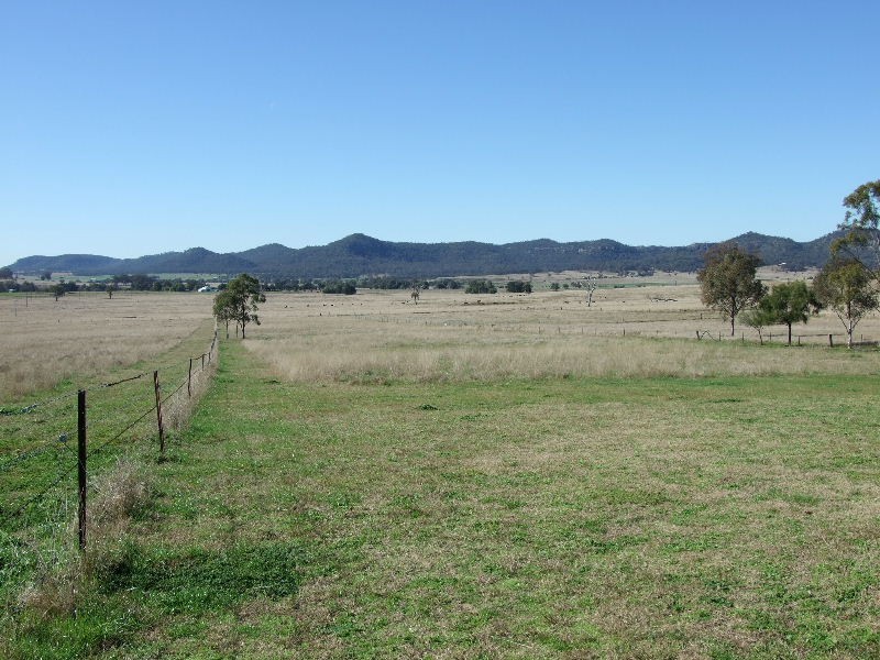 398 Mt Dangar Road, Baerami NSW 2333