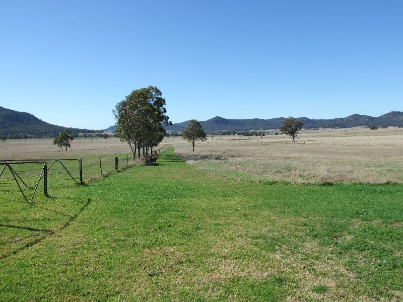 398 Mt Dangar Road, Baerami NSW 2333