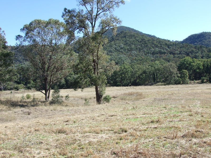 817 Worondi Creek, Sandy Hollow NSW 2333