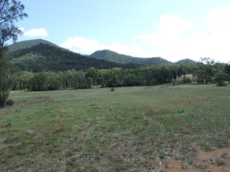 817 Worondi Creek, Sandy Hollow NSW 2333