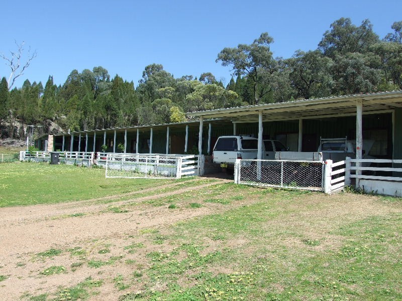109 Giants Creek Road, Sandy Hollow NSW 2333