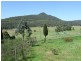 109 Giants Creek Road, Sandy Hollow NSW 2333