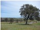 Lot 101, Lt 101 Ironbark Road, Muswellbrook NSW 2333