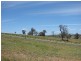 Lot 101, Lt 101 Ironbark Road, Muswellbrook NSW 2333