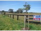 Lot 117, Lot 117 Ironbark Road, Muswellbrook NSW 2333