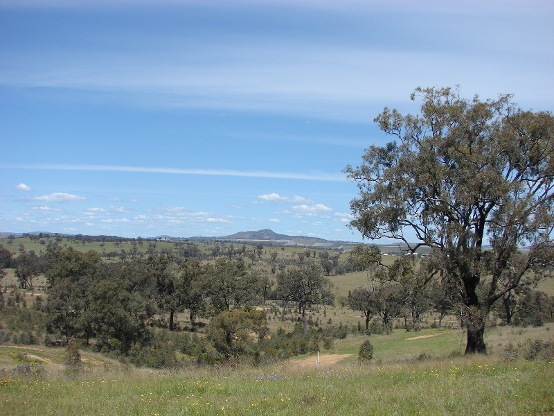 Lot 117, Lot 117 Ironbark Road, Muswellbrook NSW 2333