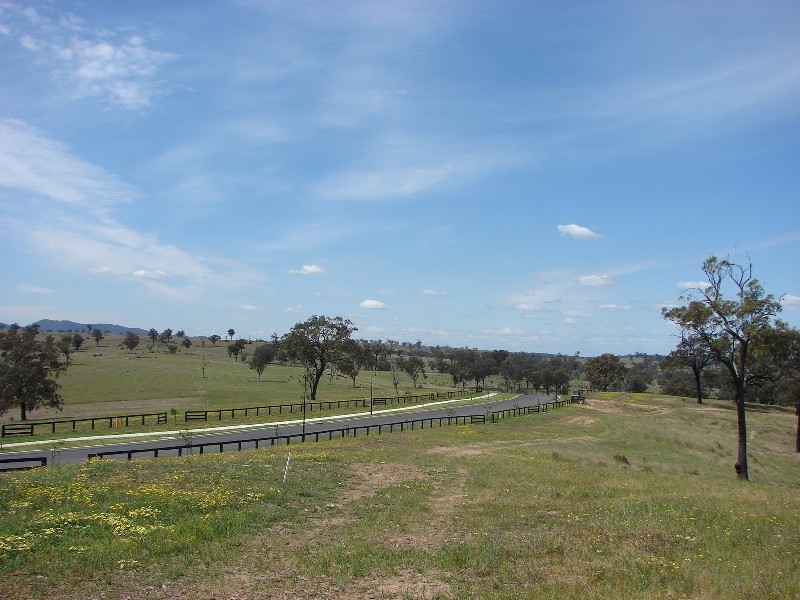 Lot 117, Lot 117 Ironbark Road, Muswellbrook NSW 2333