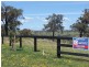 Lot 115, Lot 115 Ironbark Road, Muswellbrook NSW 2333