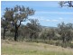 Lot 115, Lot 115 Ironbark Road, Muswellbrook NSW 2333