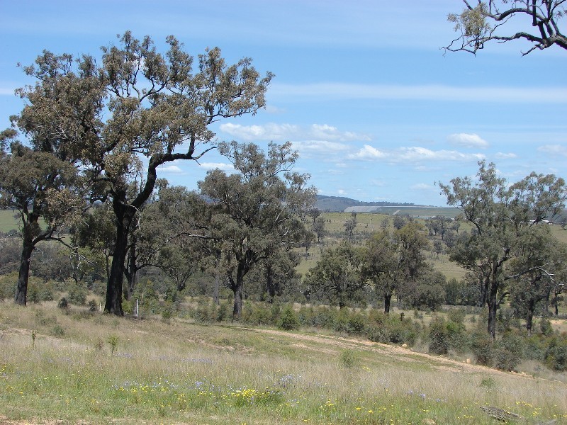 Lot 115, Lot 115 Ironbark Road, Muswellbrook NSW 2333