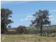 Lot 115, Lot 115 Ironbark Road, Muswellbrook NSW 2333
